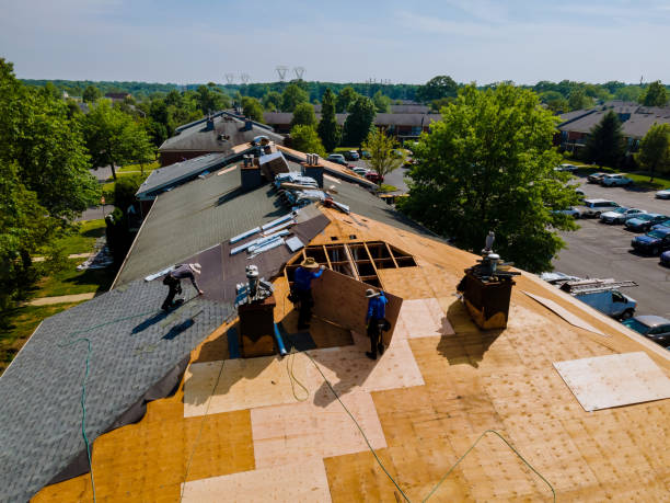 Best Commercial Roofing Services  in Meadow Woods, FL