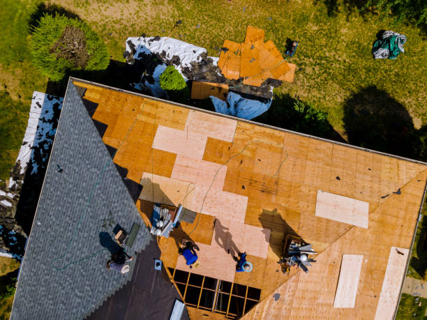 Best New Roof Installation  in Meadow Woods, FL