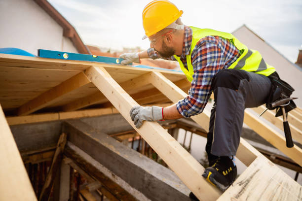 Best Roof Gutter Cleaning  in Meadow Woods, FL