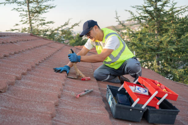 Best Residential Roofing Contractor  in Meadow Woods, FL