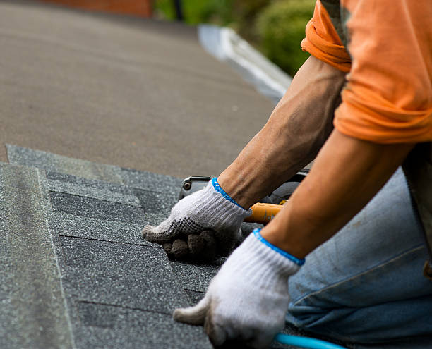 Best Shingle Roofing Installation  in Meadow Woods, FL