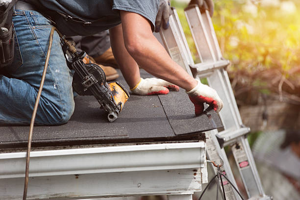 Best Gutter Installation and Roofing  in Meadow Woods, FL