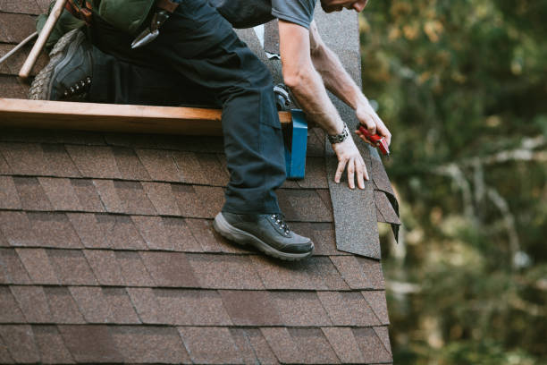Best Flat Roof Repair Services  in Meadow Woods, FL