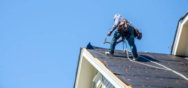 Best Metal Roofing Contractor  in Meadow Woods, FL